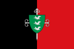 Bandera de Santa Cruz, Chile